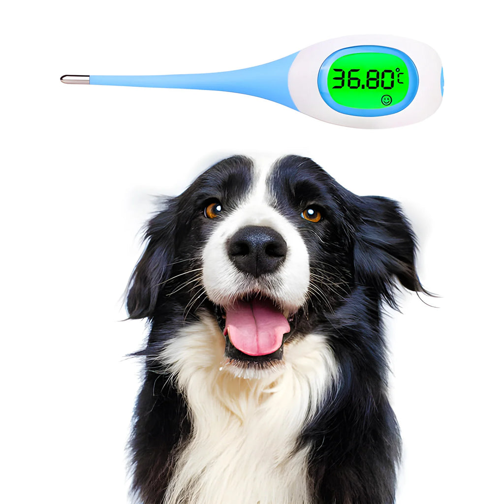 Pet Thermometer, LED Digital Electronic Veterinary Thermometer, Safe Accurate Temperature Tool for Dog and Cat